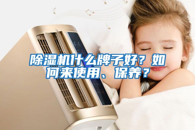 除濕機(jī)什么牌子好？如何來使用、保養(yǎng)？