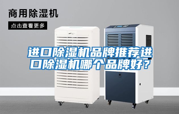 進口除濕機品牌推薦進口除濕機哪個品牌好？