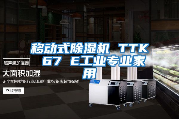 移動式除濕機(jī) TTK 67 E工業(yè)專業(yè)家用