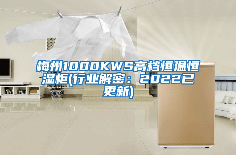 梅州1000KWS高檔恒溫恒濕柜(行業(yè)解密：2022已更新)