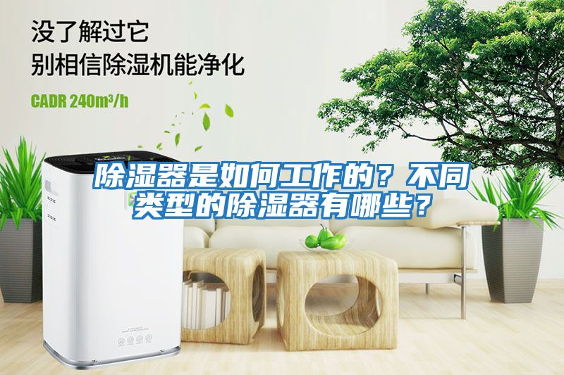 除濕器是如何工作的？不同類型的除濕器有哪些？