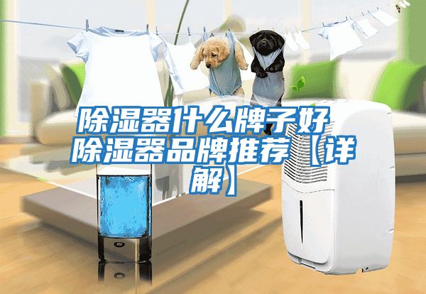 除濕器什么牌子好 除濕器品牌推薦【詳解】