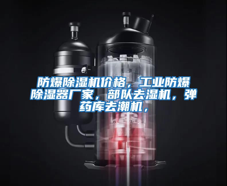 防爆除濕機(jī)價(jià)格，工業(yè)防爆除濕器廠家，部隊(duì)去濕機(jī)，彈藥庫去潮機(jī)，