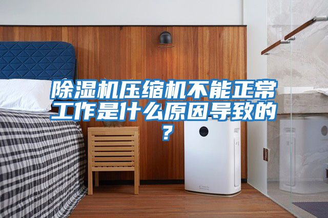 除濕機壓縮機不能正常工作是什么原因?qū)е碌模?/></p>
						    <p style=