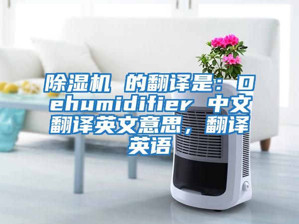 除濕機(jī) 的翻譯是：Dehumidifier 中文翻譯英文意思，翻譯英語