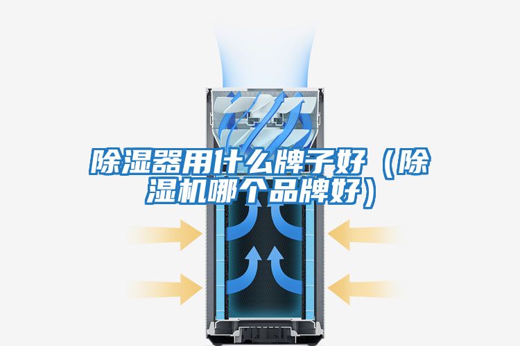 除濕器用什么牌子好（除濕機(jī)哪個品牌好）