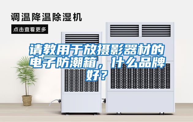 請教用于放攝影器材的電子防潮箱，什么品牌好？