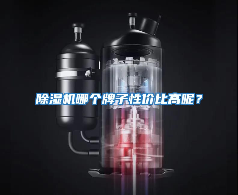 除濕機哪個牌子性價比高呢？