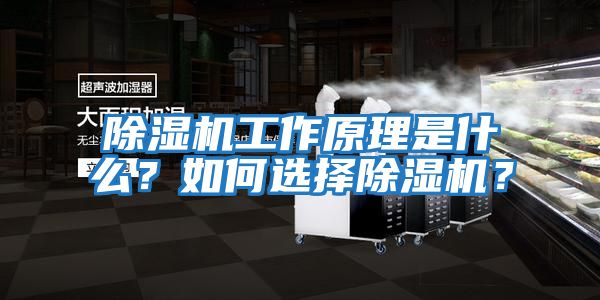 除濕機(jī)工作原理是什么？如何選擇除濕機(jī)？