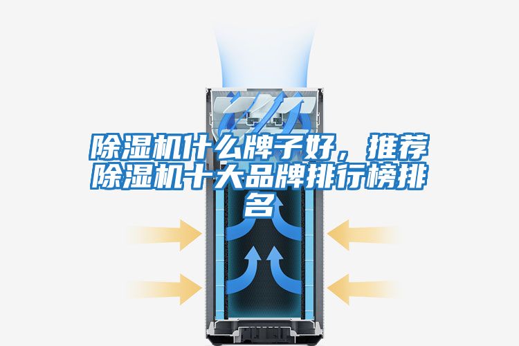 除濕機(jī)什么牌子好，推薦除濕機(jī)十大品牌排行榜排名