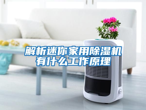 解析迷你家用除濕機(jī)有什么工作原理