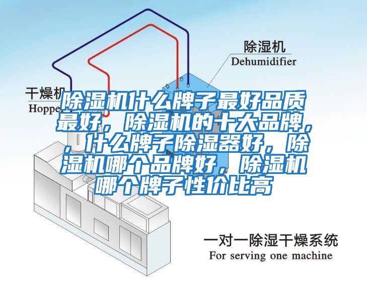 除濕機(jī)什么牌子最好品質(zhì)最好，除濕機(jī)的十大品牌，，什么牌子除濕器好，除濕機(jī)哪個(gè)品牌好，除濕機(jī)哪個(gè)牌子性價(jià)比高