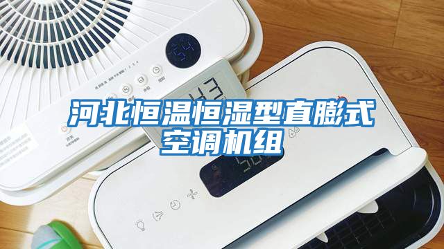 河北恒溫恒濕型直膨式空調機組