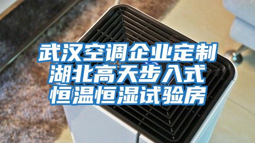 武漢空調(diào)企業(yè)定制湖北高天步入式恒溫恒濕試驗(yàn)房