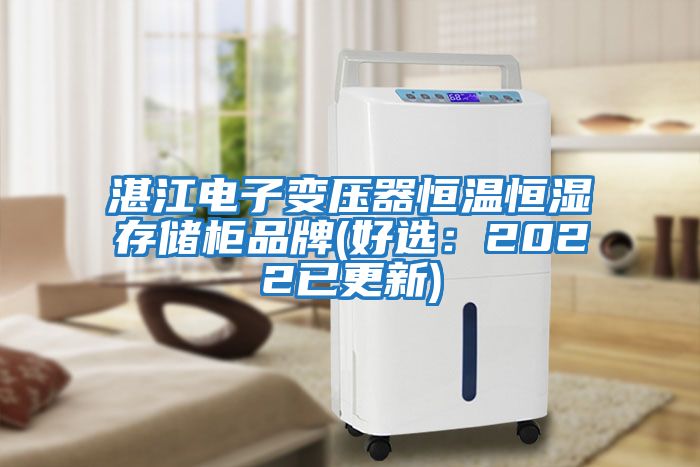 湛江電子變壓器恒溫恒濕存儲柜品牌(好選：2022已更新)