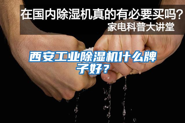 西安工業(yè)除濕機什么牌子好？