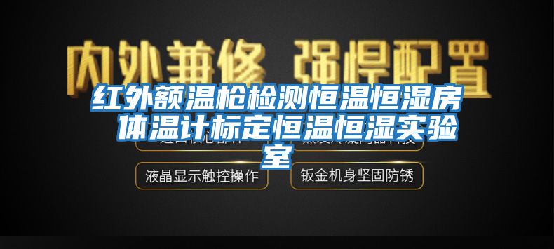 紅外額溫槍檢測恒溫恒濕房 體溫計(jì)標(biāo)定恒溫恒濕實(shí)驗(yàn)室