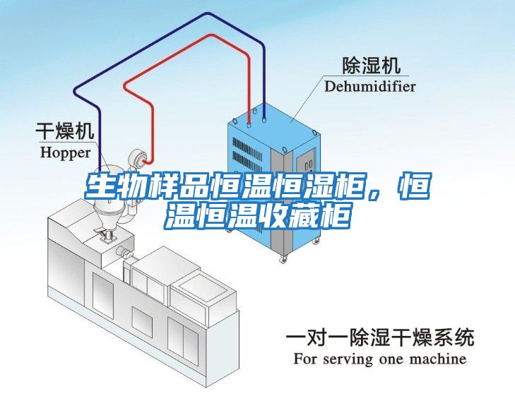 生物樣品恒溫恒濕柜，恒溫恒溫收藏柜