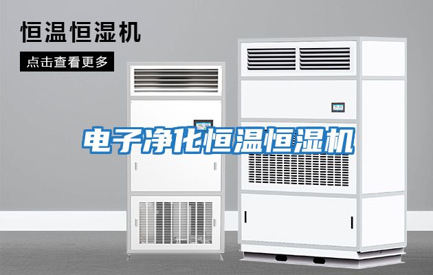 電子凈化恒溫恒濕機