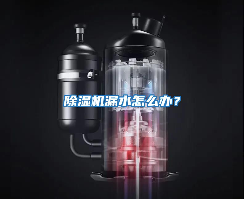 除濕機漏水怎么辦？