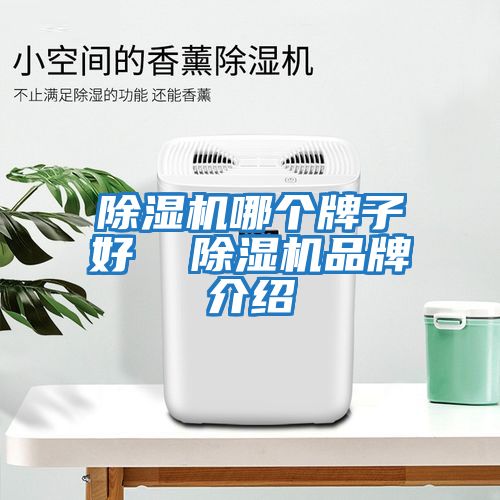 除濕機(jī)哪個(gè)牌子好  除濕機(jī)品牌介紹