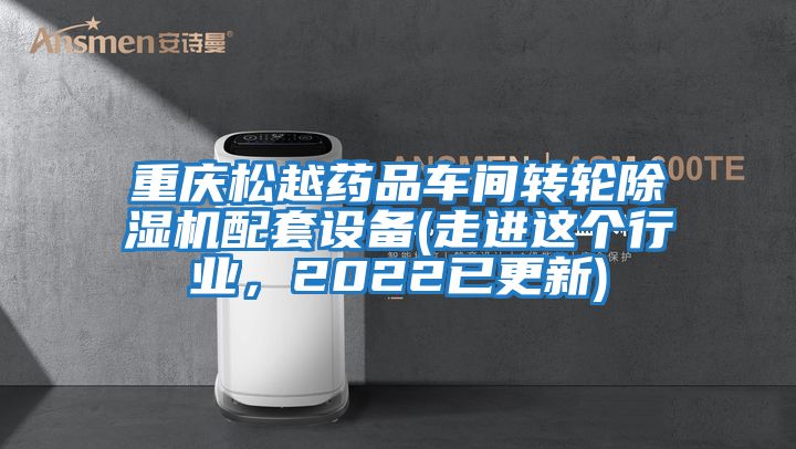 重慶松越藥品車間轉輪除濕機配套設備(走進這個行業(yè)，2022已更新)