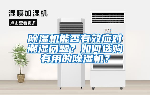 除濕機能否有效應對潮濕問題？如何選購有用的除濕機？