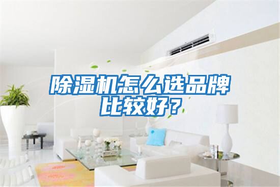 除濕機怎么選品牌比較好？