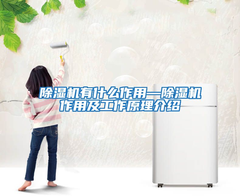 除濕機有什么作用—除濕機作用及工作原理介紹