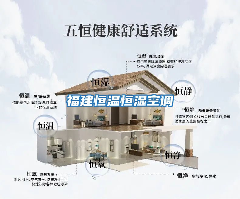 福建恒溫恒濕空調(diào)