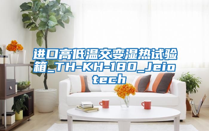 進(jìn)口高低溫交變濕熱試驗箱_TH-KH-180_Jeio tech