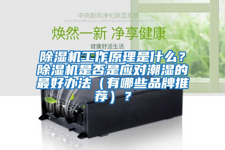 除濕機工作原理是什么？除濕機是否是應對潮濕的最好辦法（有哪些品牌推薦）？