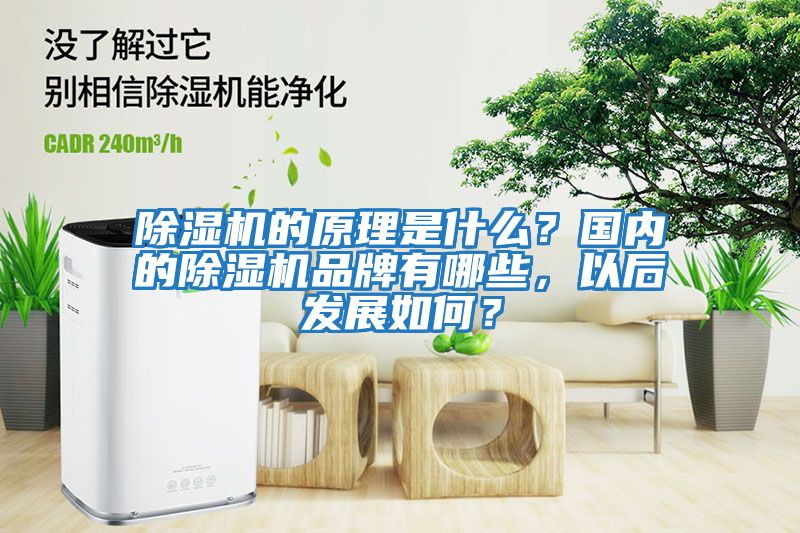 除濕機的原理是什么？國內(nèi)的除濕機品牌有哪些，以后發(fā)展如何？