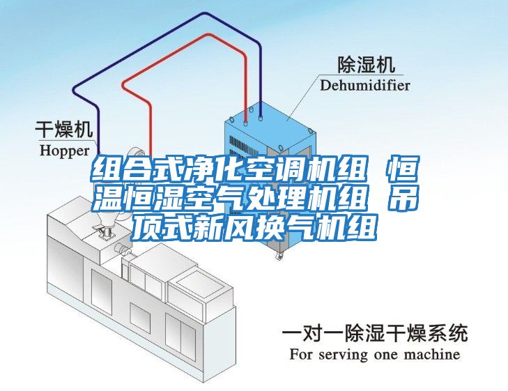 組合式凈化空調(diào)機(jī)組 恒溫恒濕空氣處理機(jī)組 吊頂式新風(fēng)換氣機(jī)組