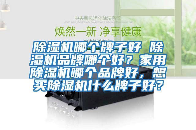 除濕機哪個牌子好 除濕機品牌哪個好？家用除濕機哪個品牌好，想買除濕機什么牌子好？