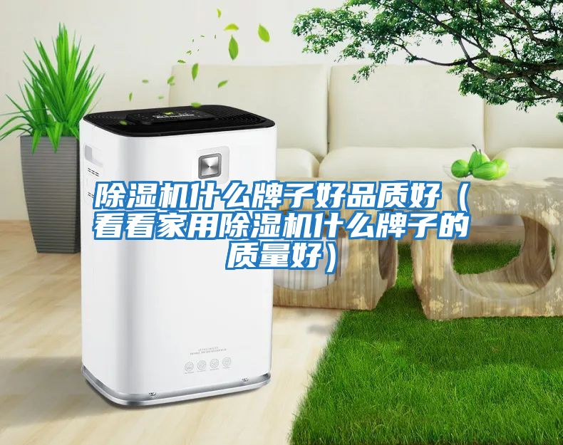 除濕機什么牌子好品質好（看看家用除濕機什么牌子的質量好）