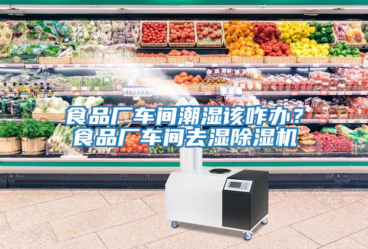 食品廠車間潮濕該咋辦？食品廠車間去濕除濕機(jī)