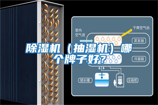 除濕機(jī)（抽濕機(jī)）哪個(gè)牌子好？