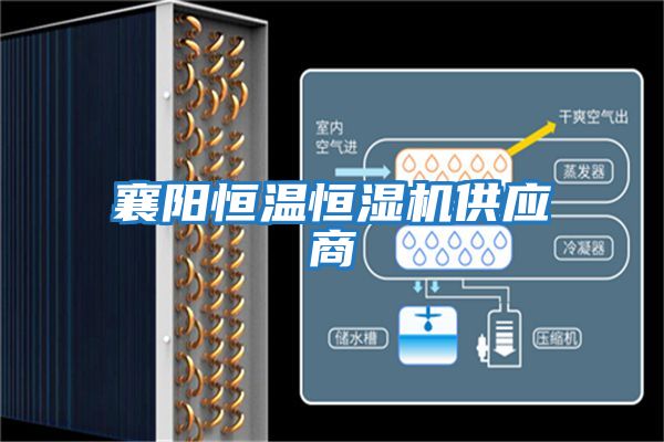 襄陽(yáng)恒溫恒濕機(jī)供應(yīng)商