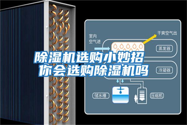 除濕機(jī)選購小妙招 你會(huì)選購除濕機(jī)嗎
