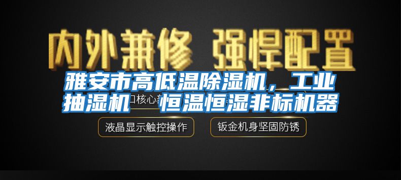 雅安市高低溫除濕機(jī)，工業(yè)抽濕機(jī)  恒溫恒濕非標(biāo)機(jī)器