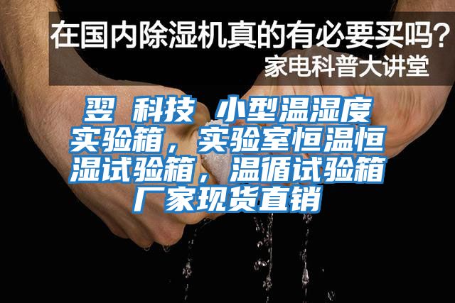 翌昇科技 小型溫濕度實驗箱，實驗室恒溫恒濕試驗箱，溫循試驗箱廠家現(xiàn)貨直銷