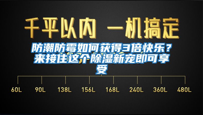 防潮防霉如何獲得3倍快樂？來接住這個除濕新寵即可享受